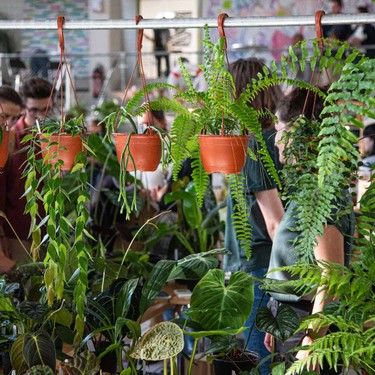 Botanica Pflanzenfestival Zürich