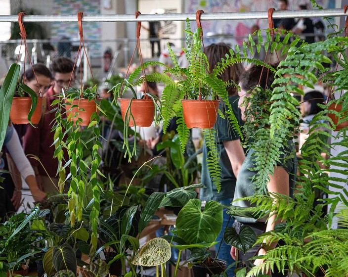 Botanica Pflanzenfestival Zürich