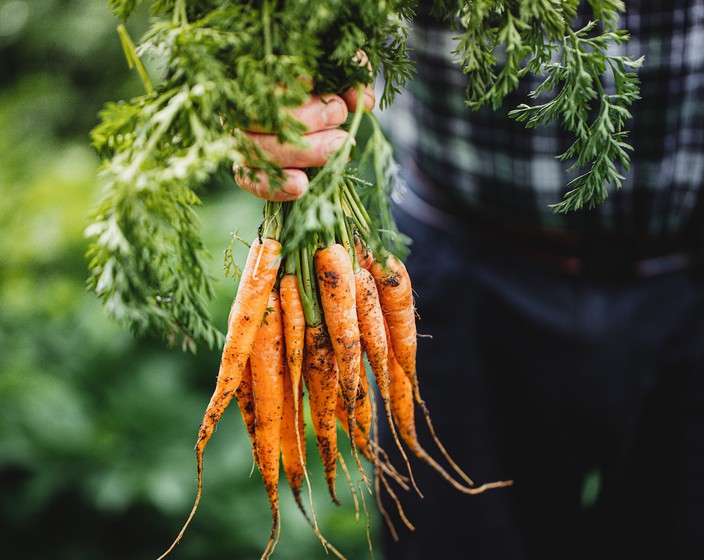 Karotten: so gesund und vielseitig!