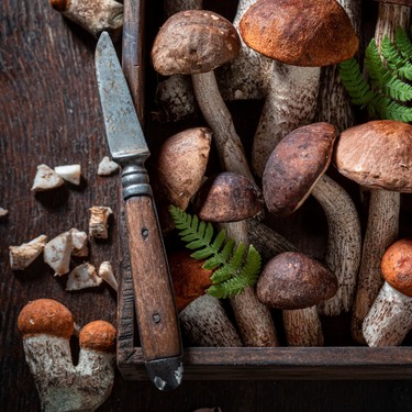 Verlockende Pilzrezepte: Die Magie der Waldschätze auf dem Teller