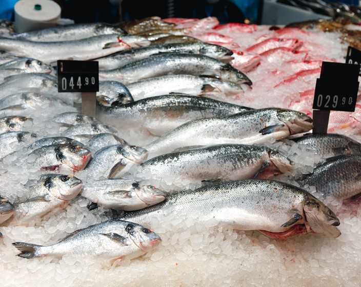 Wie du Fisch und Meeresfrüchte nachhaltig konsumieren kannst