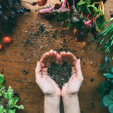 Für Besseresser – so punktet eine pflanzenbetonte Ernährung bei Gesundheit und Umwelt