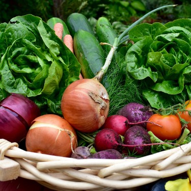 Saisonales und regionales Obst und Gemüse im September und Oktober
