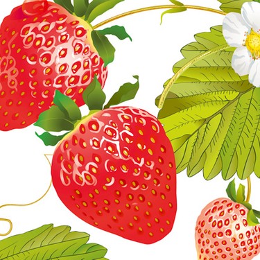 Erdbeeren - Zückerli der Natur