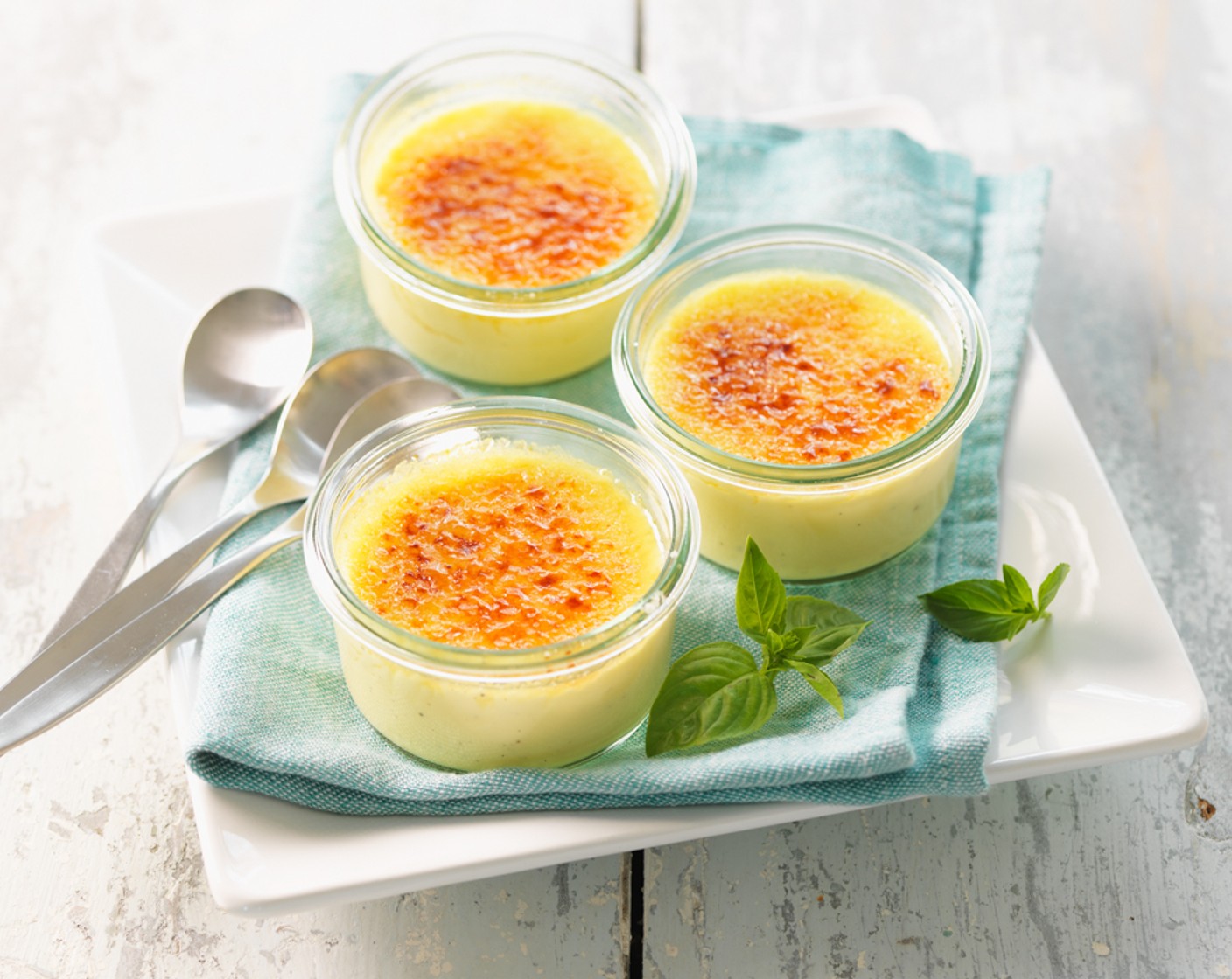 Crema Cotta mit Basilikum