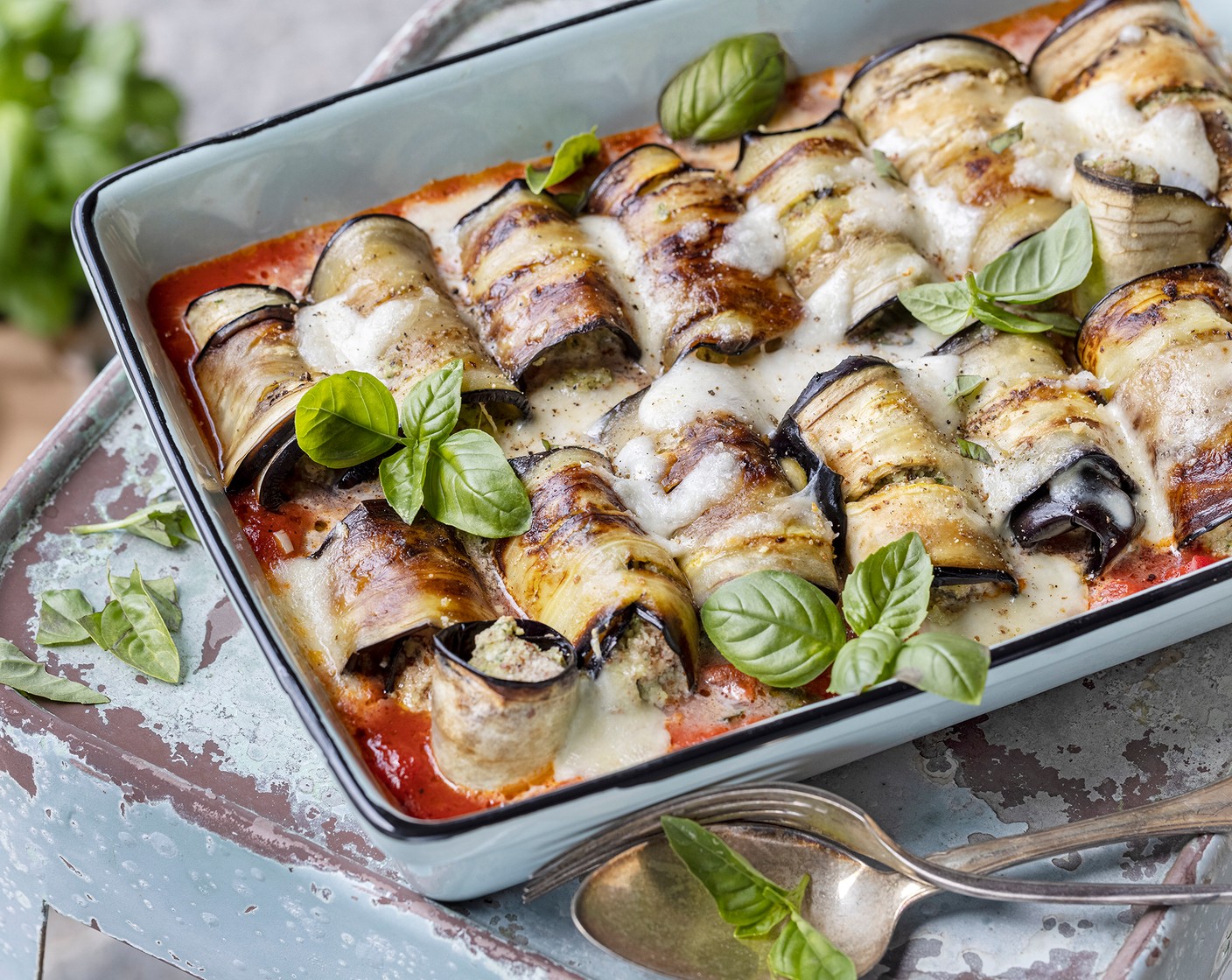 Auberginen-Involtini mit Nussfüllung