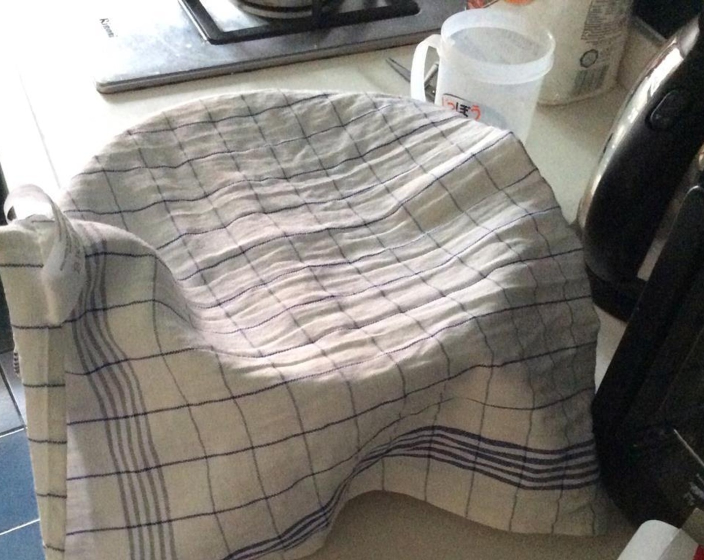 Schritt 6 Teig 30 bis 60 Minuten lang mit einem sauberen Geschirrtuch abdecken, damit er aufgehen kann.