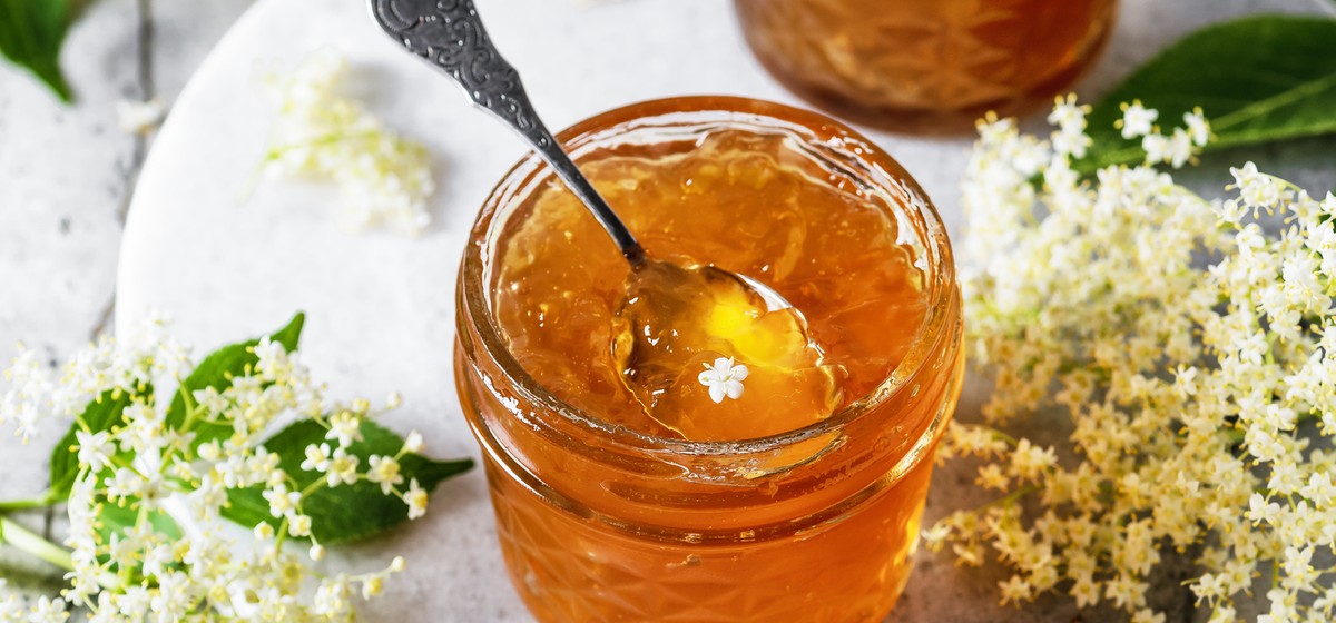 Holunderblüten-Gelee Holunderblüten-Gelee