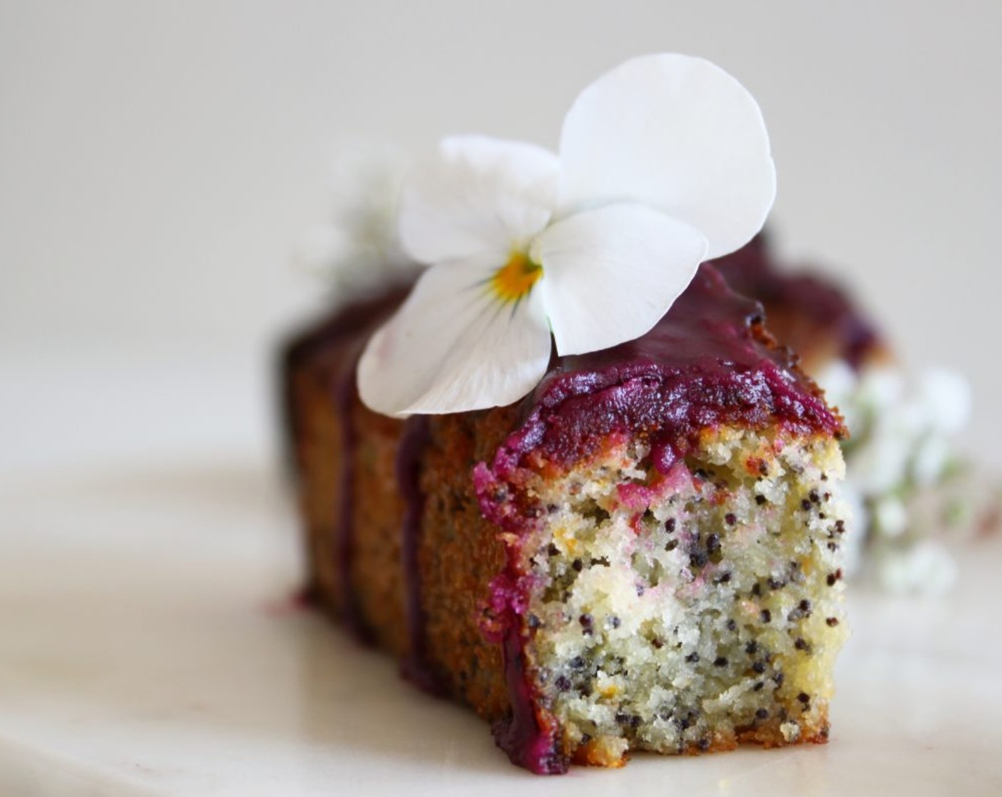 Zitronen-Ingwer Mini Kuchen mit Mohn