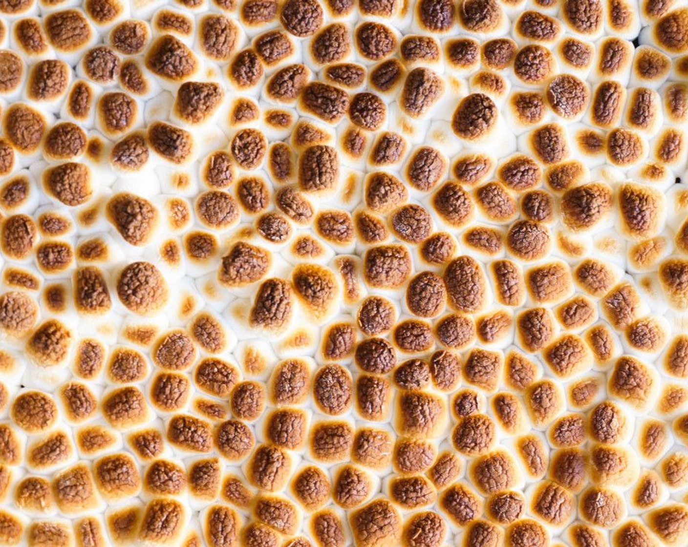 Schritt 7 Mäusespeck (50 g) auf ein Backblech geben und für 2 Minuten rösten, bis er verkohlt ist.