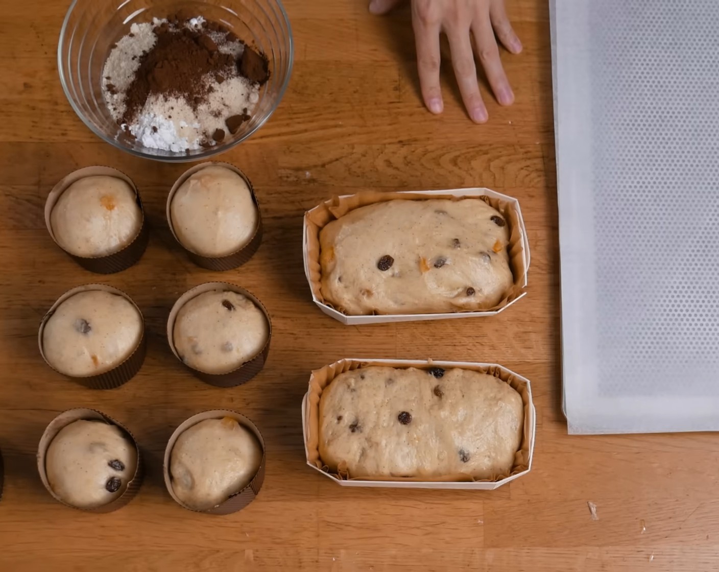 Schritt 11 Anschliessend die Teigstücke in die Panettoni Formen legen. Dabei sollten die Formen etwa bis zur Hälfte mit Teig gefüllt werden, um ein optimales Backergebnis zu bekommen. Die gefüllten Formen auf ein mit Backpapier belegtes Blech stellen, zudecken und …

Variante I
Die Panettoni bei Raumtemperatur 5–8 Stunde bis 1 cm unter den Rand aufgehen lassen

Variante II
Die Panettoni für 3–5 Std. bei 30 °C im Ofen bis 1 cm unter den Rand aufgehen lassen.